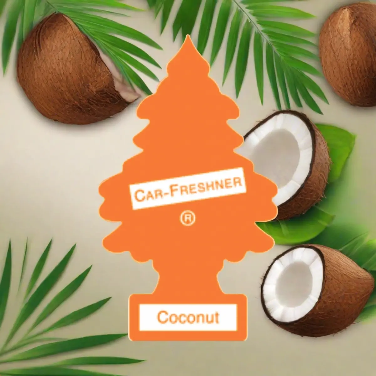 Ltc Coconut A/F (24) (144) 1