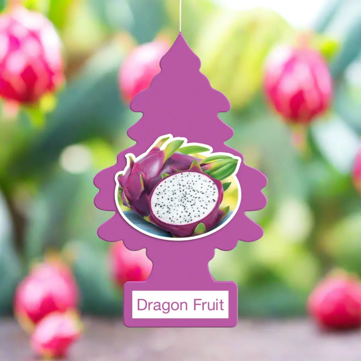 Ltc Dragon Fruit A/F (24) (144) 1