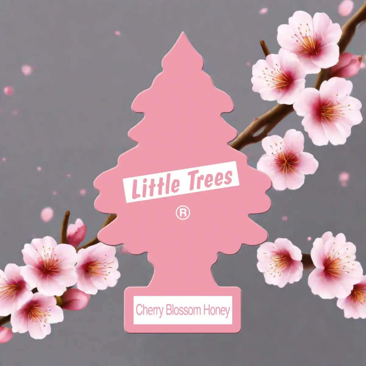 Ltc Cherry Blossom Honey A/F (24) (144) 1