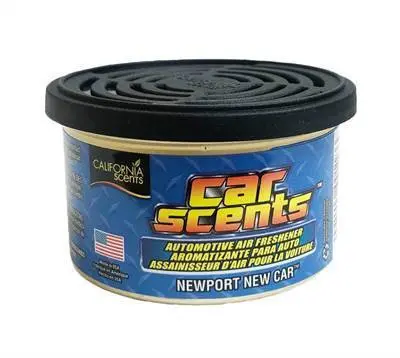 Cs Car Scents Newport New Car (4) 1