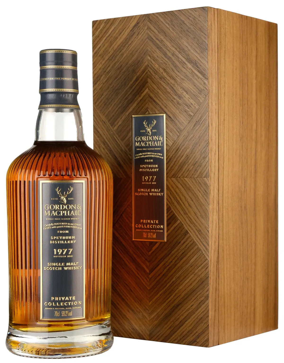 Speyburn 1977-2021 | 44 Year Old Gordon & Macphail Private Collection Single Cask 6045101 1