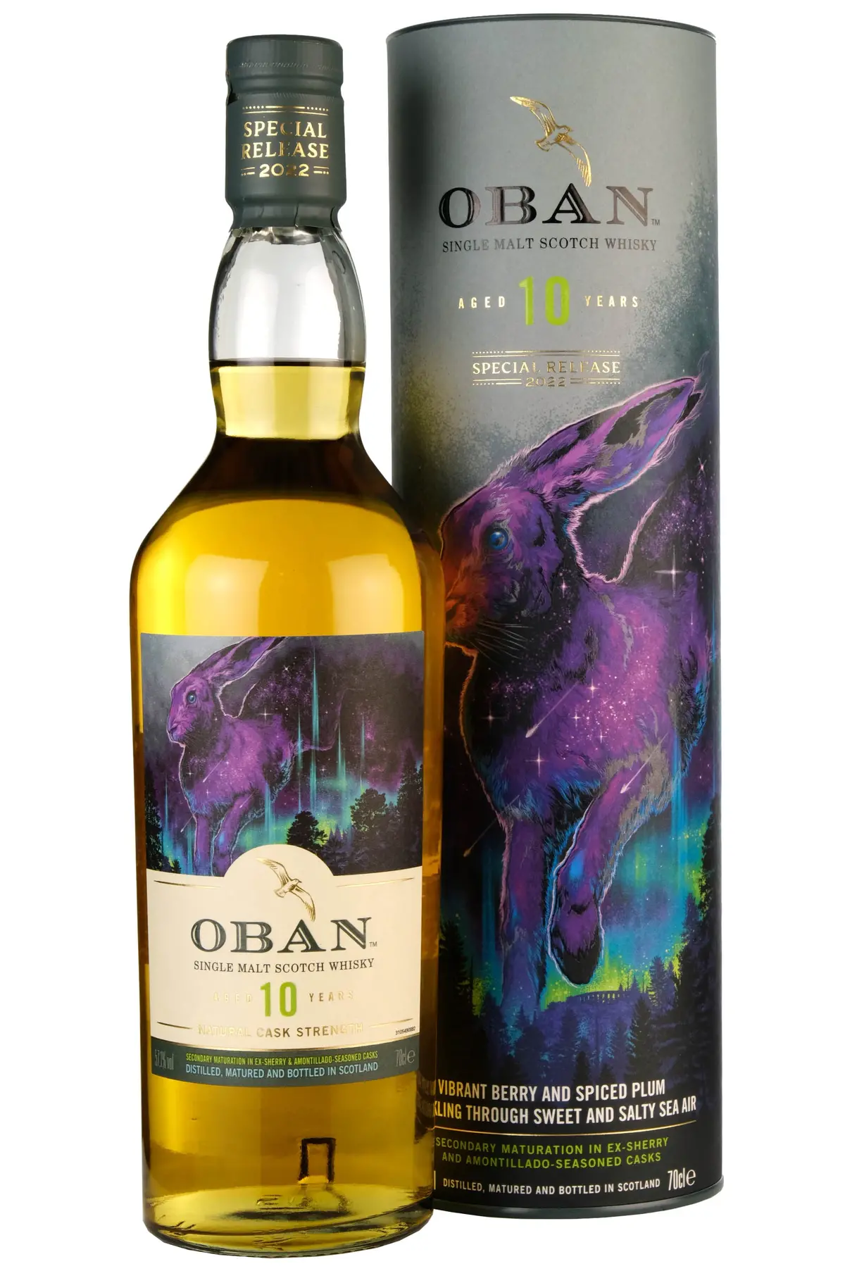 Oban 10 Year Old | Special Releases 2022 1
