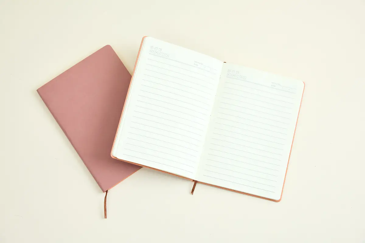 Blush Vegan Suede Journal 1