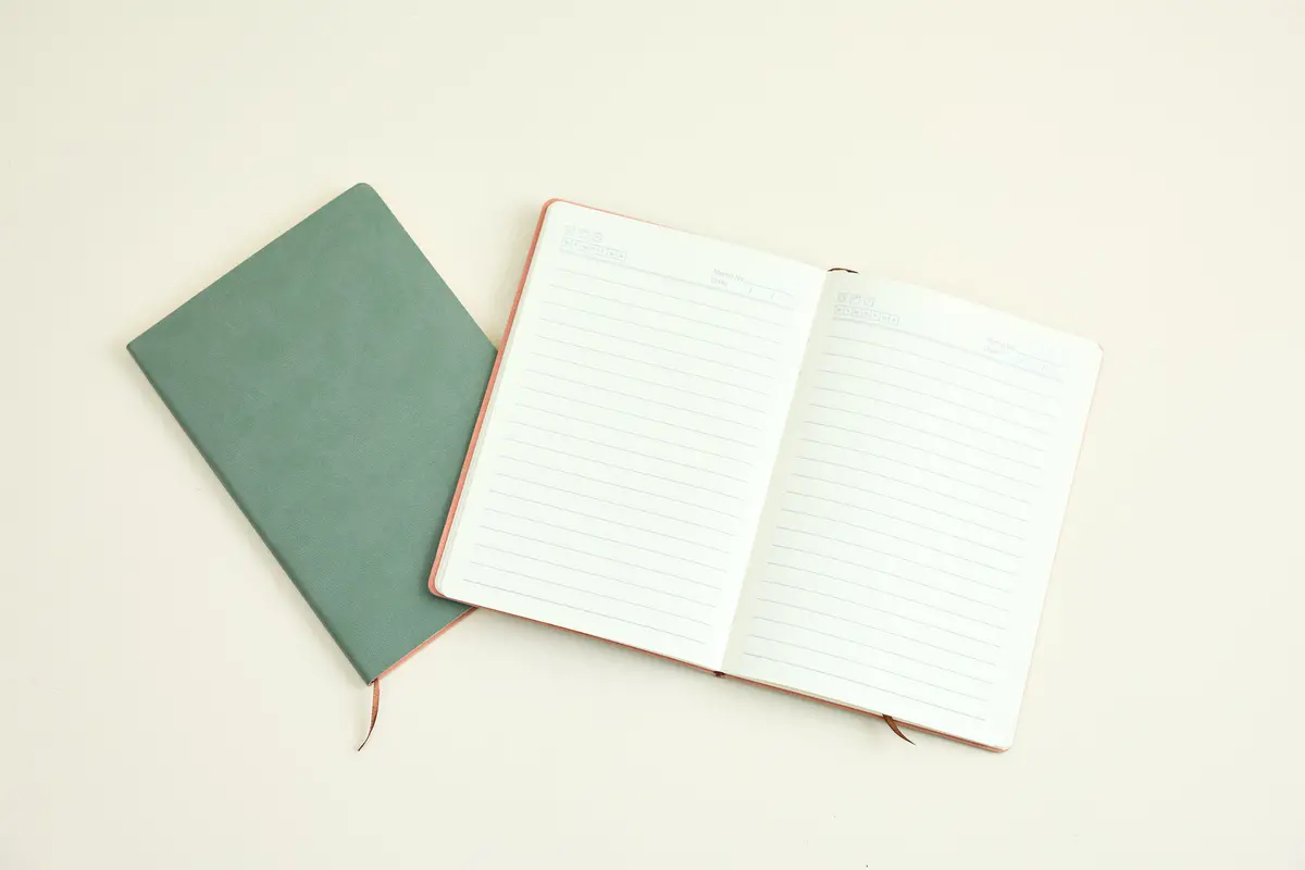 Sage Vegan Suede Journal 1