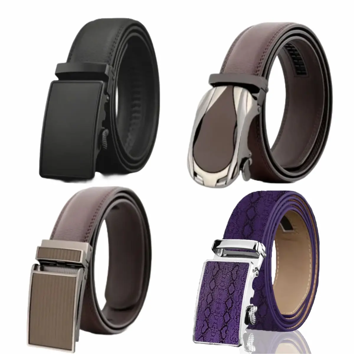 App Belt Regular Asst. (Aeb) 1