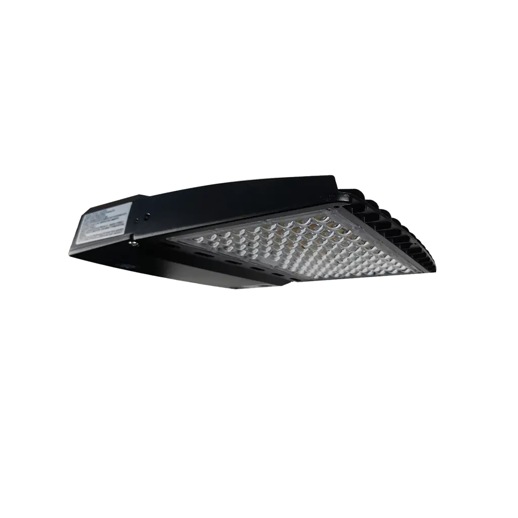 R53031 - Reno-Sb-100W-Mw-Dv-Mcct-G2-R1 1