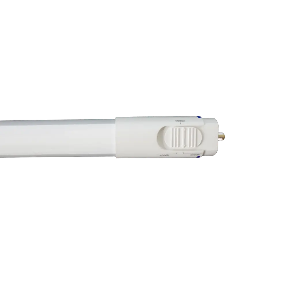 R42131 - Reno-Ledt8bp-38W-Mcct-96Gc (8Ft) 2