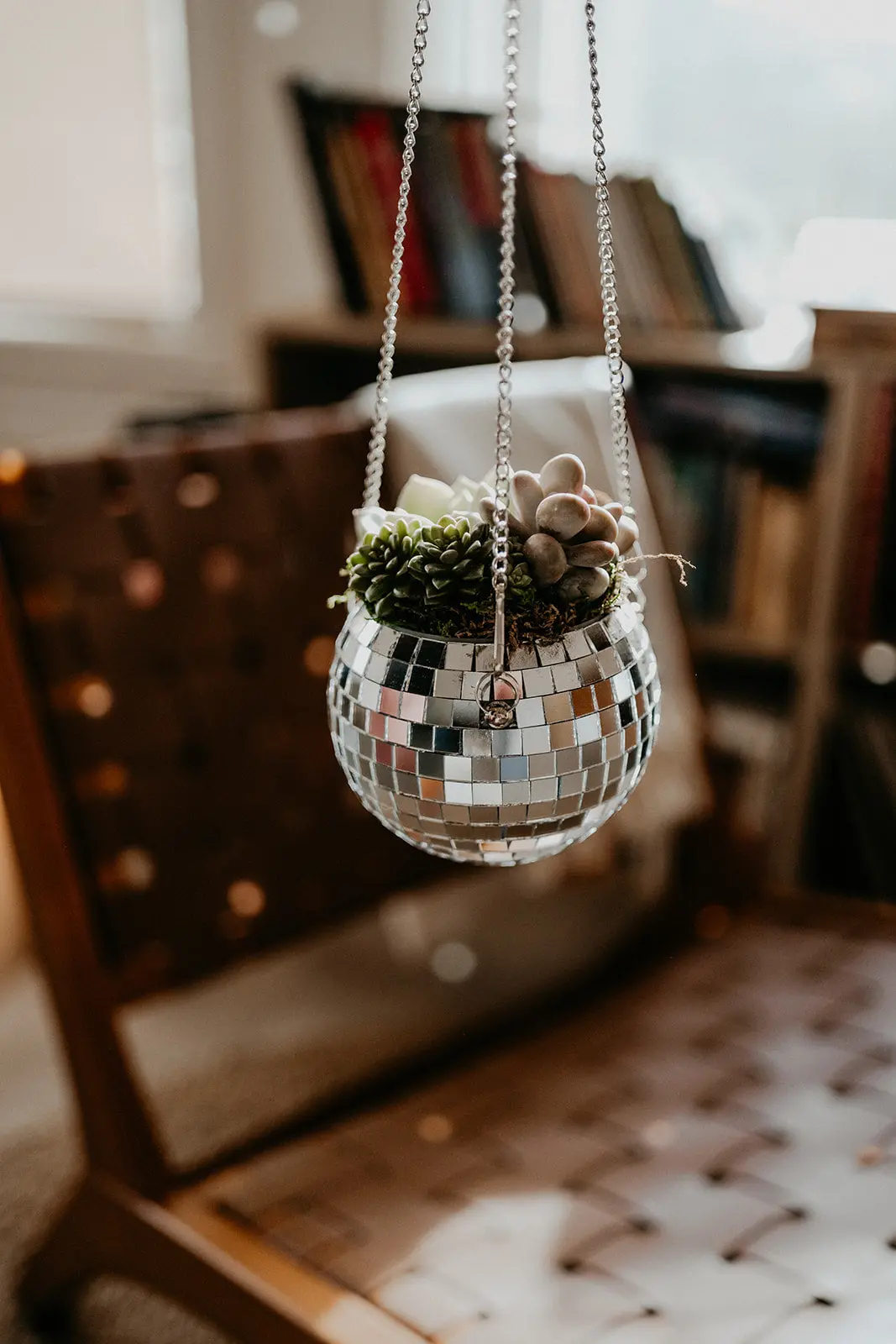 Hanging Disco Ball Succulent Arrangement 1