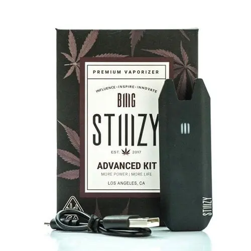 Stiiizy Biiig Vape Pen Advanced Kit 1