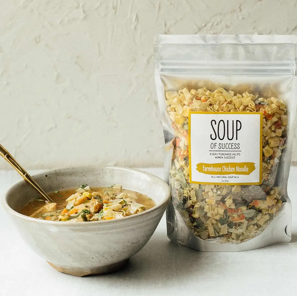 Farmhouse Chicken Noodle Soup - Soup Of Success 1