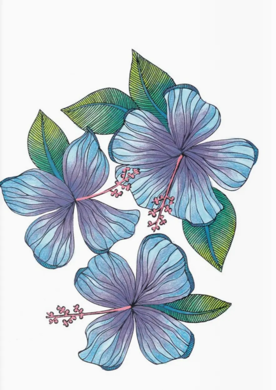 Color Zen Coloring Book 2