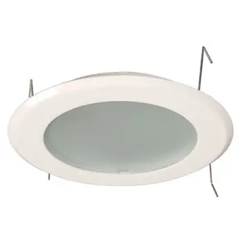 316Wh Line Voltage Shower Trim - Matte White, Frosted Glass, 60W Bulb, 5" Size, Non-Dimmable 1