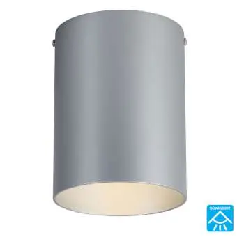 323044Ms Matte Silver Outdoor Ceiling Light, 75W Bulb, Medium Base, Non-Dimmable 1