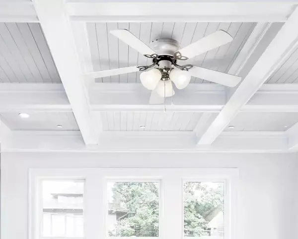 Maria Fan - Cf42mar5wh 2