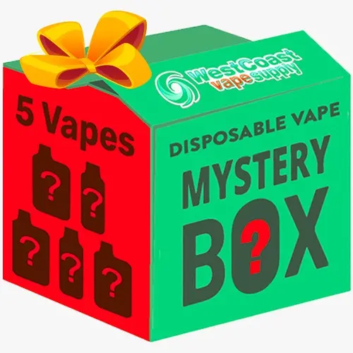 Disposable Vape Mystery Bundle 5-Pack 1