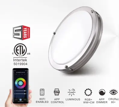 Smart 12" Slim Flush Mount 1