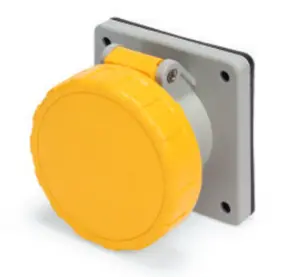 Ip67 Receptacle 30A  125Vac  2P 3W  Watertight 1