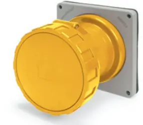 Ip67 Receptacle 60A  125Vac  2P 3W  Watertight 1
