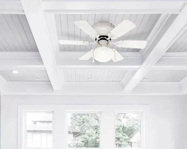 Twister Fan - Cf3230611s 2